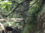 sevyanharden-15-06-2019-7652649-we got caught fucking that pussy was worth it fuck show chat live porn live sex