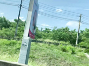 mayafarrell8_5f4171021b3ad21004589 show chat live porn