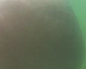 spacex it was dangerous but fun when there are a lot of strangers around you show chat live porn
