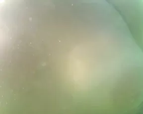 spacex it was dangerous but fun when there are a lot of strangers around you show chat live porn