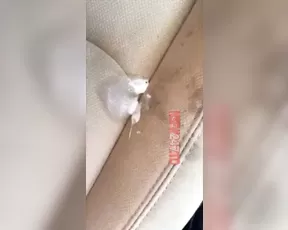 Rainey James summer day dildo masturbation in car creamy pussy snapchat premium live porn live sex