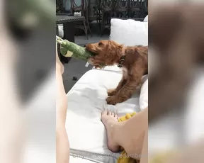 reedamberx playing footsie with the cute doggo axl who then later on sniffed my armpits and tried hi Adult Webcams chat for free live porn