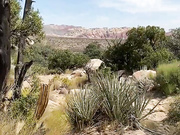 dianagracex 07 10 2020 I had so much fun on my hike Here s a little tease Adult Webcams chat for free porn