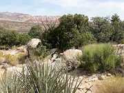 dianagracex 07 10 2020 I had so much fun on my hike Here s a little tease Adult Webcams chat for free porn