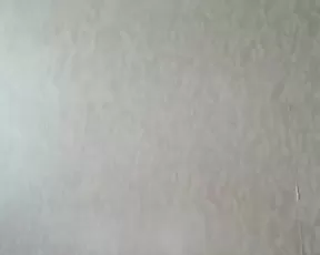 Brunette slut stroking a penis