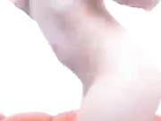 Redhead is sucking a dick