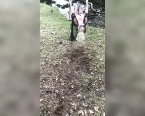 amanda_lovelie if you go down to the woods tod Adult Webcams chat for free porn live sex
