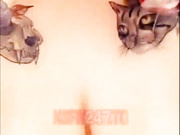 Arya Fae 2018/12/11 porn live sex