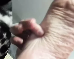 kaileeshy Chaturbate free cam porn live sex