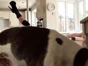 bendypiri morning started this new choreo yesterday and tried out Adult Webcams chat for free porn live sex