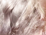 missjfux chat for free