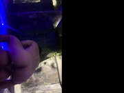 ahjaponesa chat for free sex tape free girls leaked