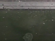 Softerroses dropping cum snapchat premium porn live sex