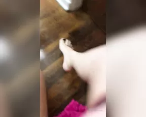 mswhitneymorgan Adult Webcams chat for free porn live sex