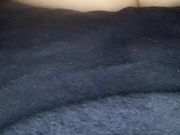 tittikitti My fans have me purring and I couldn t help myself I'm Adult Webcams chat for free porn