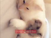 Cortana Blue 2019/04/28 porn live sex