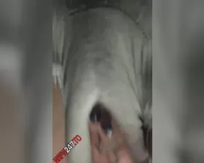 Ana Lorde Omg I cant believe I actually fkn did that snapchat premium porn live sex