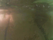 spacex it was dangerous but fun when there are a lot of strangers around you Adult Webcams chat for free porn live sex