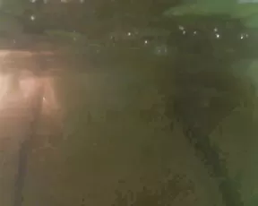 spacex it was dangerous but fun when there are a lot of strangers around you Adult Webcams chat for free porn live sex