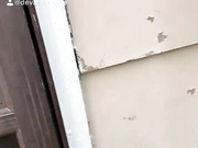 devanne -one of my friends fireballed me today-31203848 Adult Webcams chat for free porn live sex