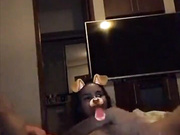 dahyn night masturbation snapchat Adult Webcams porn live sex