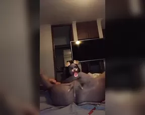 dahyn night masturbation snapchat Adult Webcams porn live sex