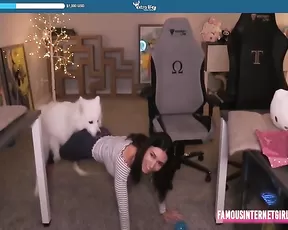Alinity Compilation Letting Her Dog Smell Her Pussy NSFW ADULT WEBCAMS Premium Porn