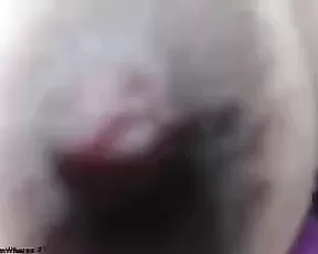 Cock stroking on a nice day