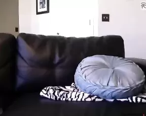 A big ass slut is sucking dick