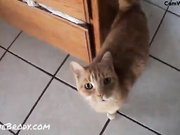 Two so pretty lesbian females make awezone webcam sex fun in home,!damn!