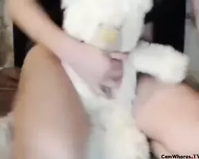 Giant BigTit Boobs at webcam