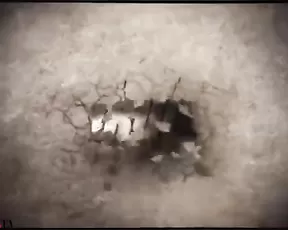 I'm drilling nice ass of hot babe
