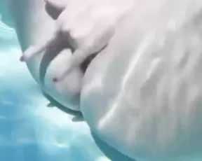 Busty blonde shakes her tits