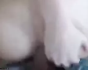 Beauty ass girl doggy get fucking webcam show