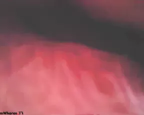 Kamrunwhite teen hot vibrating pussy use hitachi webcam show