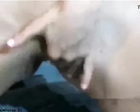 Long sex toy for her cunny